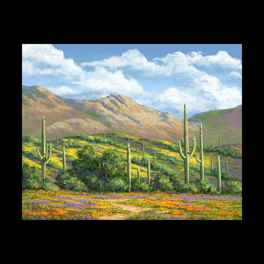 Arizona Colors